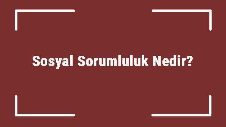 Sosyal Sorumluluk Nedir Sosyal Sorumluluk Projeleri, Örnekleri Ve Fikirleri