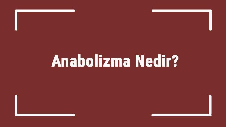 Anabolizma Nedir Katabolizma Arasındaki Farklar Nelerdir Anabolizma Ve Katabolizma Örnekleri..