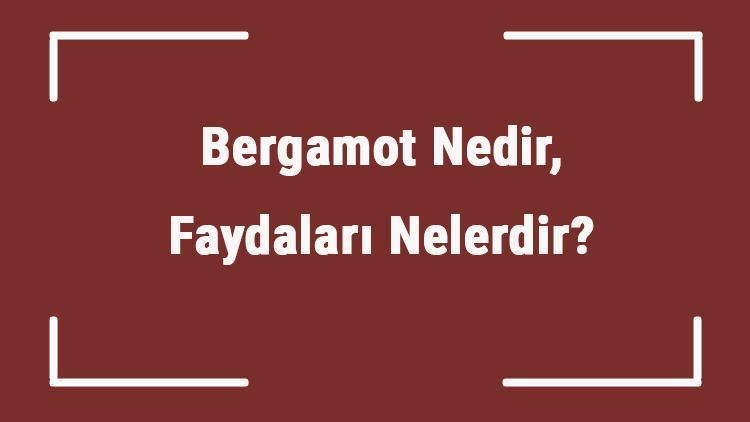 Bergamot Nedir, Faydaları Nelerdir Bergamot Nasıl Kurutulur, Nerede Yetişir