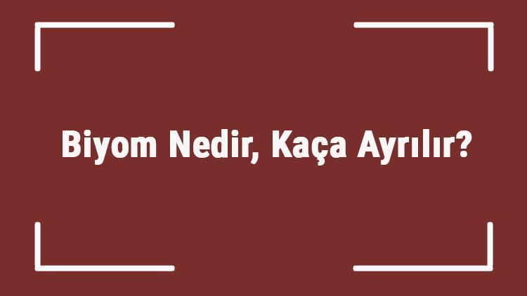 Biyom Nedir, Kaça Ayrılır Biyom Çeşitleri, Özellikleri Ve Örnekleri