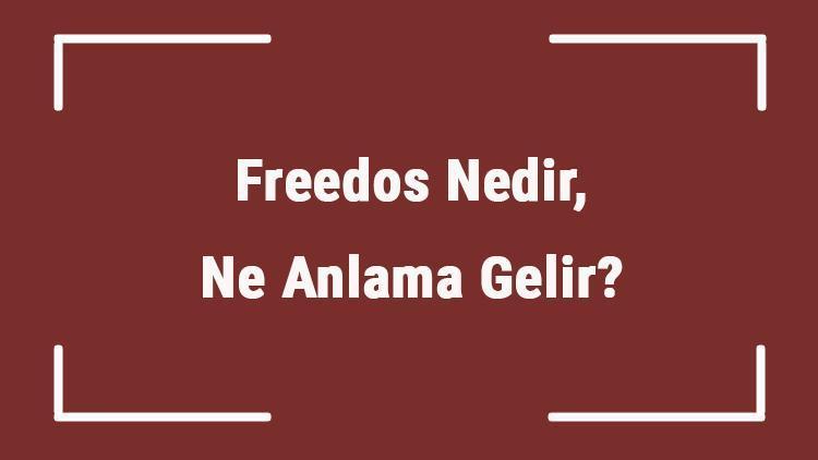 Freedos Nedir, Ne Anlama Gelir Freedos Laptop Alınır Mı