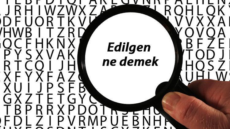 Edilgen ne demek TDKya göre edilgen kelimesinin anlamı nedir Edilgen sözlük anlamı