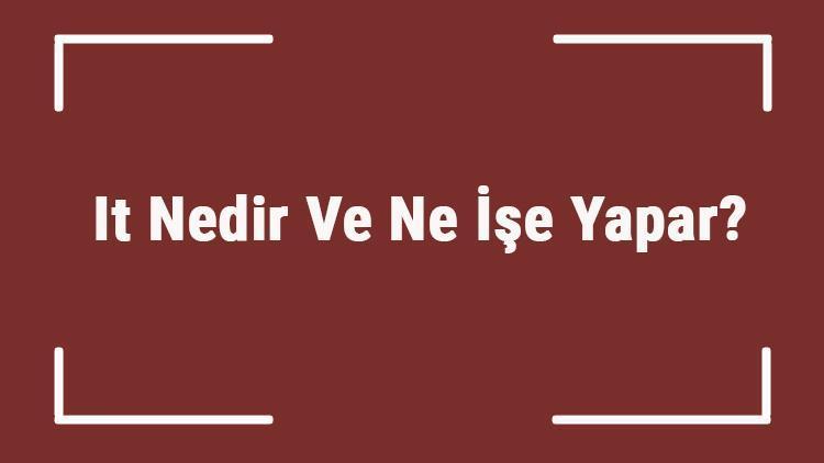 It Nedir Ve Ne İşe Yapar It Uzmanı Nasıl Olunur Ve Ve Hangi Bölüm Okunmalıdır It Uzmanı Maaşları Ve İş Olanakları