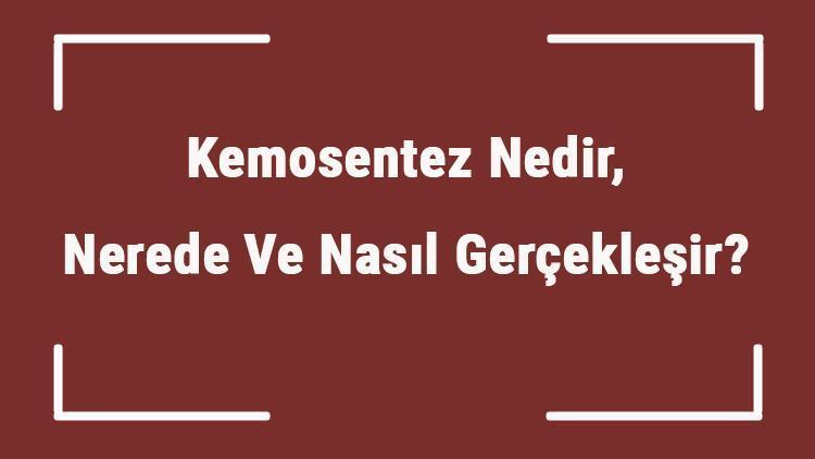 Kemosentez Nedir, Nerede Ve Nasıl Gerçekleşir Kemosentez Yapan Canlılar Ve Özellikleri