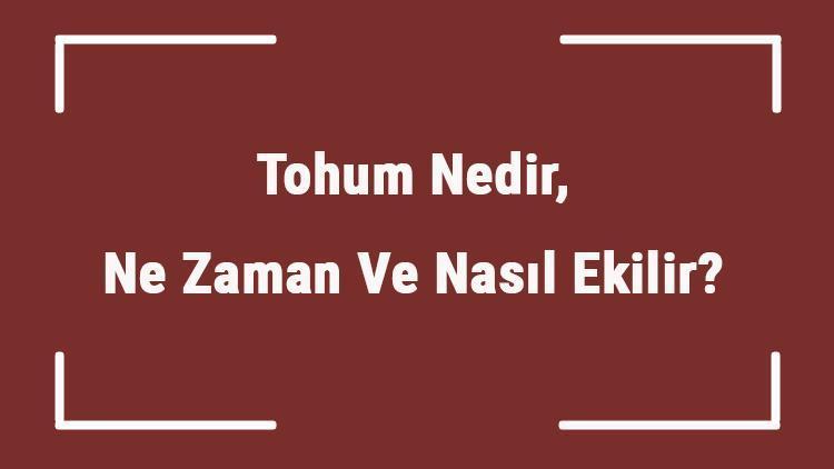 Tohum Nedir, Ne Zaman Ve Nasıl Ekilir Tohum Nasıl Ve Ne Zaman Çimlenir