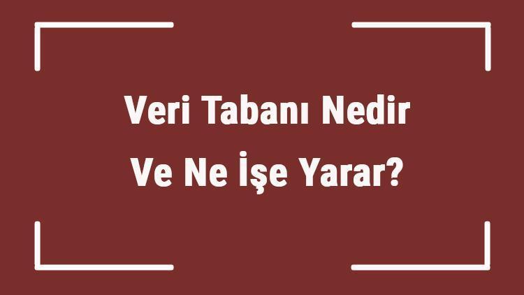 Veri Tabanı Nedir Ve Ne İşe Yarar Veri Tabanı Nerelerde Ve Nasıl Kullanılır Veritabanı Örnekleri