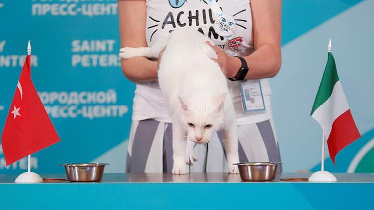 Kahin kedi Achilles, Türkiye-İtalya maçının galibini belirledi