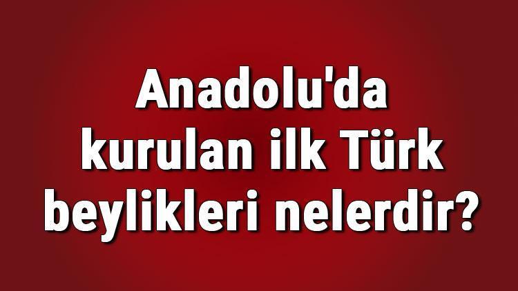 Anadoluda kurulan ilk Türk beylikleri nelerdir Anadoluda kurulan ilk Türk beylikleri sırasıyla isimleri ve özellikleri