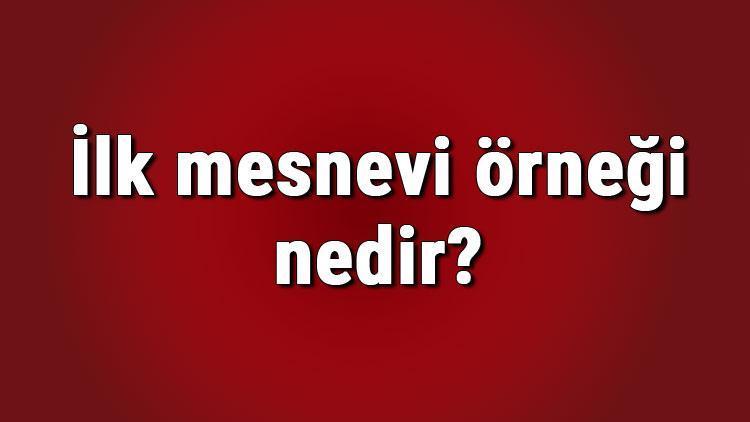 İlk mesnevi örneği nedir İlk mesnevi yazarı kimdir Türk edebiyatında ilk mesnevi