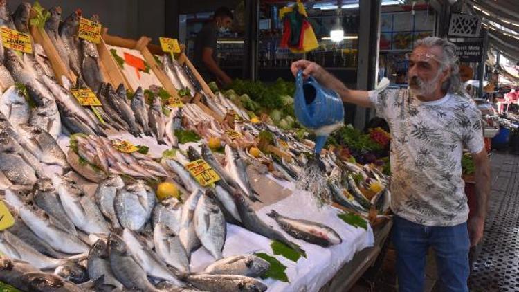 İzmirli balıkçı esnafı: Müsilaj satışları düşürdü