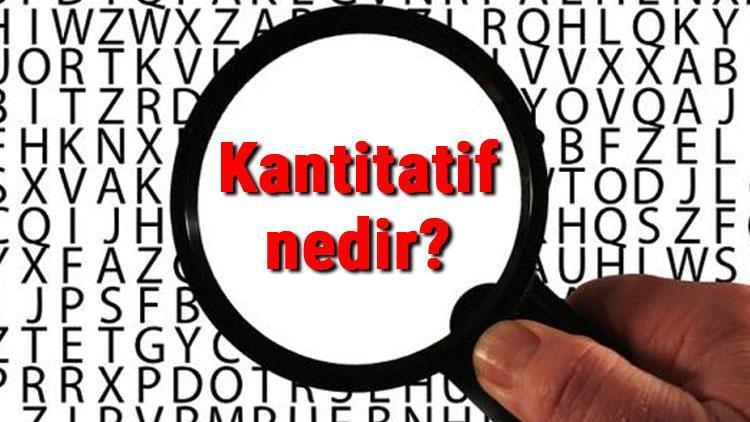 Kantitatif nedir, ne anlama gelir Kantitatif araştırma yöntemi nedir