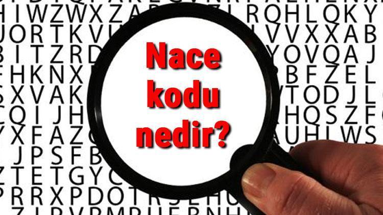 Nace kodu nedir, ne işe yarar Nace kodu nasıl öğrenilir