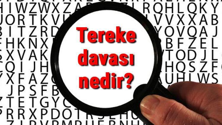 Tereke ve tereke davası nedir, nasıl açılır Tereke tespit davası ne kadar sürer