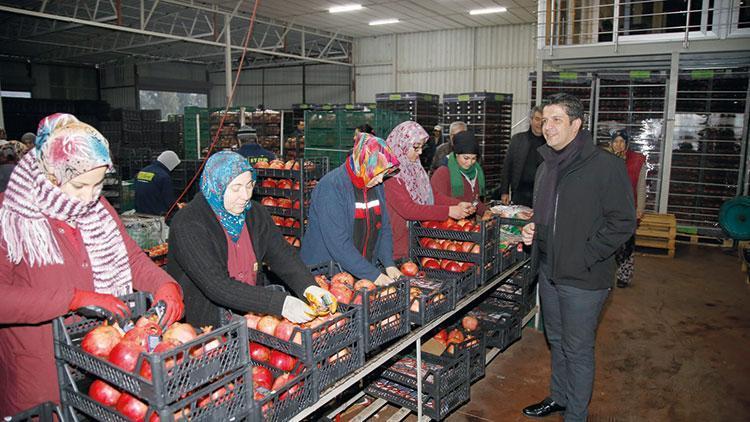 Kadın kooperatifleri tek çatı altında