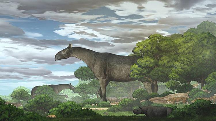 Filden ağır, zürafadan uzun... Bulunan fosil yeni bir türü ortaya çıkardı