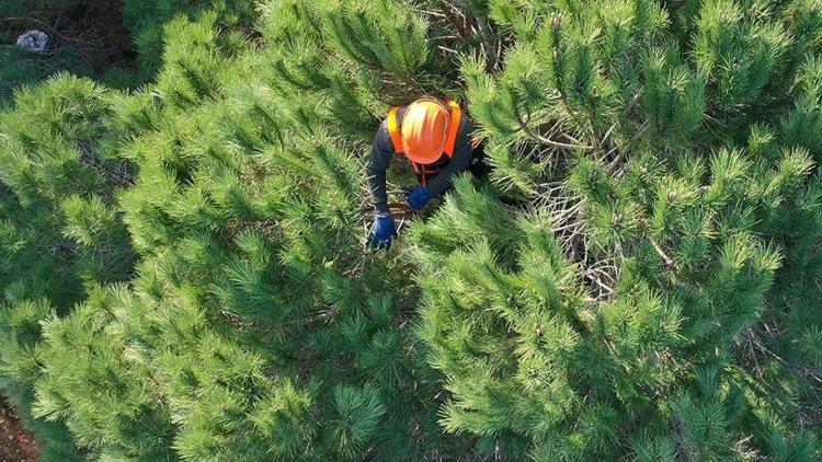 OGM işçi alımı başvurusu sayfası: Toplam 2083 işçi alımı yapılacak İşte, İŞKUR OGM işçi alımı başvuru ekranı