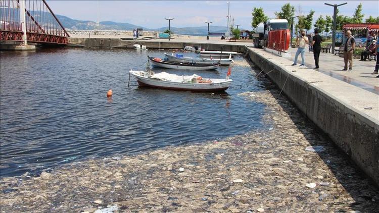 Bakan Kurum: Marmara Denizi’nde 4 bin 202 metreküp müsilajı temizledik