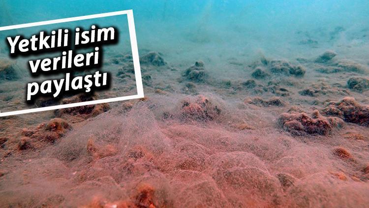 Marmaranın diplerindeki müsilaj analizinin ilk sonuçları geldi