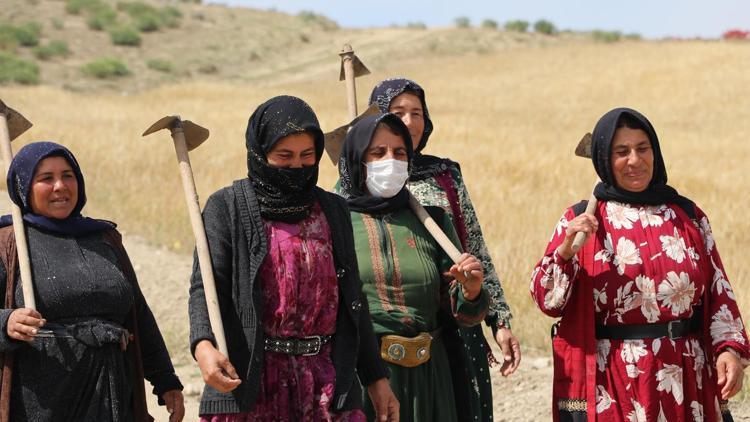 Mevsimlik işçiler tarlada aşı oldu