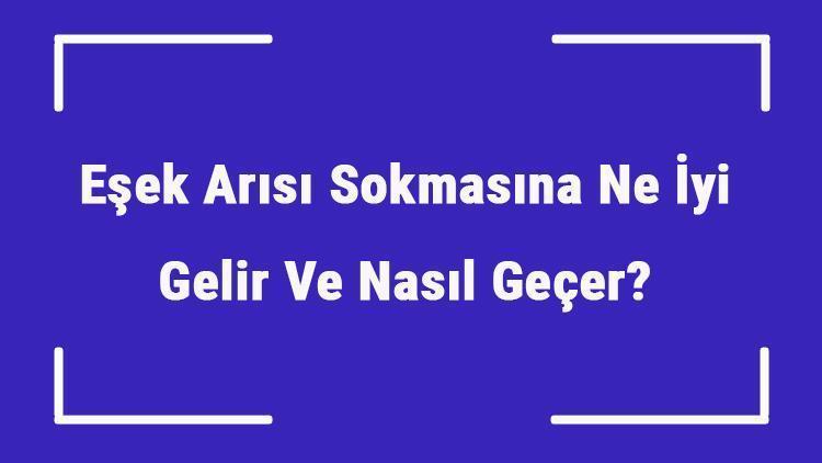 Eşek Arısı Sokmasına Ne İyi Gelir Ve Nasıl Geçer Eşek Arısı Sokması Öldürür Mü