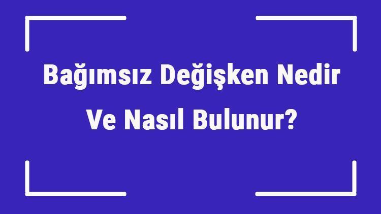 Bağımsız Değişken Nedir Ve Nasıl Bulunur Bağımsız Değişken Örnekleri Ve Türleri