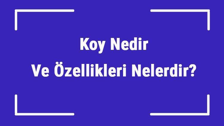 Koy Nedir Ve Özellikleri Nelerdir Koy Nasıl Oluşur Türkiyede Koy Örnekleri