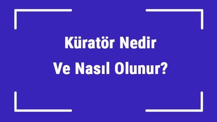 Küratör Nedir Ve Nasıl Olunur Küratör Ne İşe Yapar