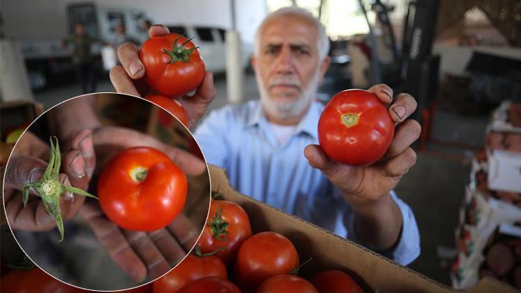 İsrailden tuhaf yasak... Şimdi de sapsız domates şartı getirdiler