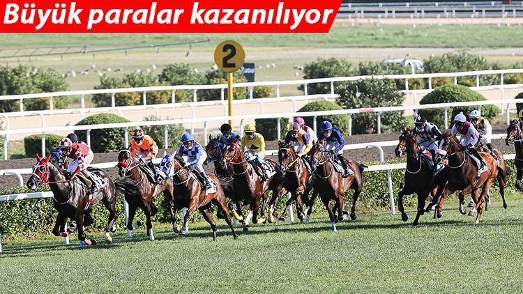 Son dakika... At koştu, sahibi kazandı Tek yarışta 2.1 milyon lira...