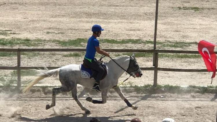 Rahvan yarışında birinci gelen Bey-Şehirli at Türkiye şampiyonasına katılacak