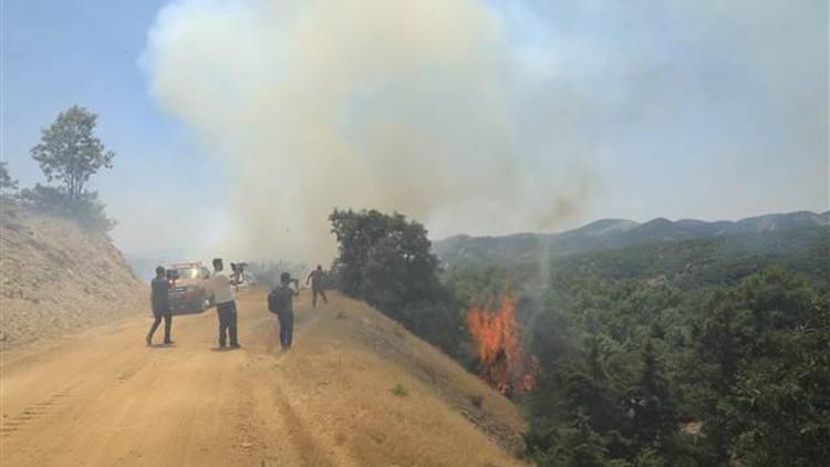 Bingölde 2 gün önce ormanlık alanda çıkan yangın sürüyor