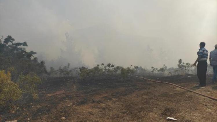Son dakika: Osmaniye’deki orman yangını 3 saatte kontrol altına alındı