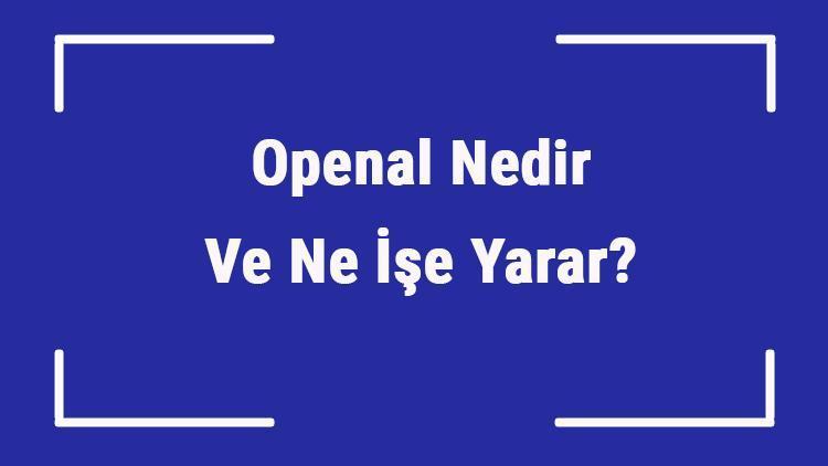 Openal Nedir Ve Ne İşe Yarar