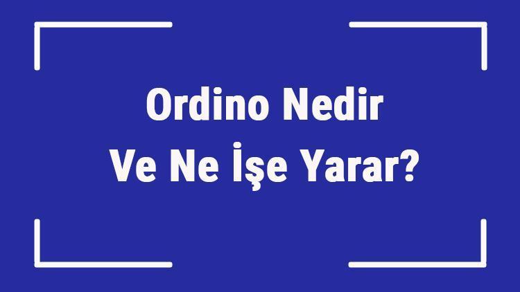 Ordino Nedir Ve Ne İşe Yarar Ordino Nasıl Doldurulur