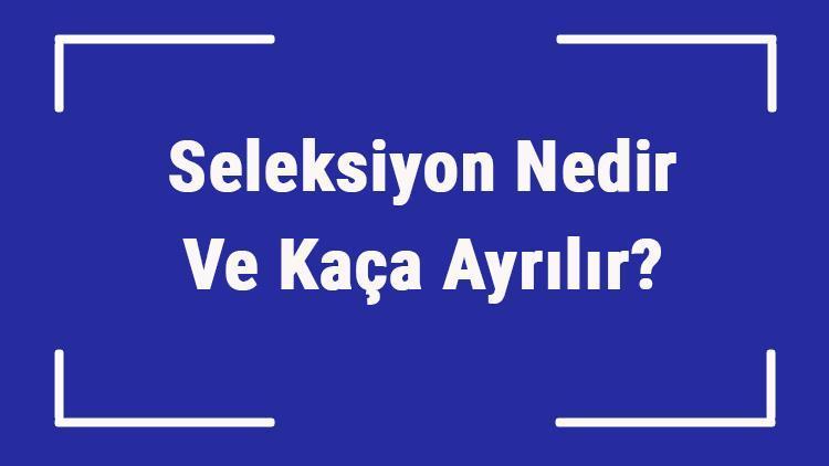 Seleksiyon Nedir Ve Kaça Ayrılır Seleksiyon Türleri Hakkında Bilgi