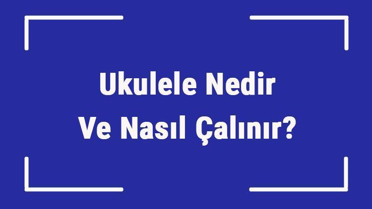 Ukulele Nedir Ve Nasıl Çalınır Ukulele Öğrenmek Zor Mudur