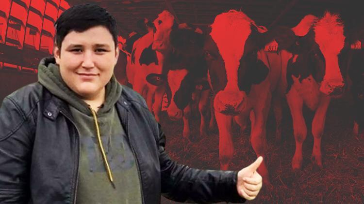 Çiftlik Bank kurucusu Mehmet Aydın Türkiyeye dönüyor Tosuncuk neden teslim oldu