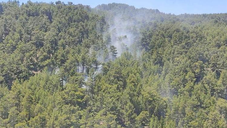 Bakan Yardımcısı Metinden orman yangınlarıyla mücadele açıklaması
