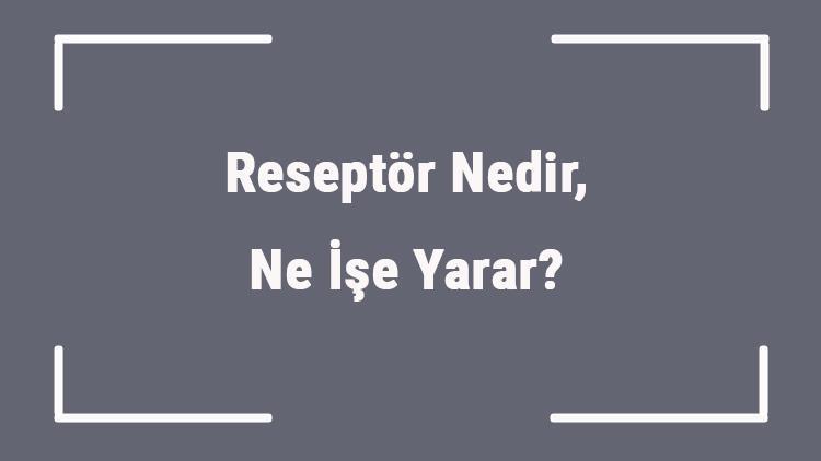 Reseptör Nedir, Ne İşe Yarar Reseptör Nerede Bulunur