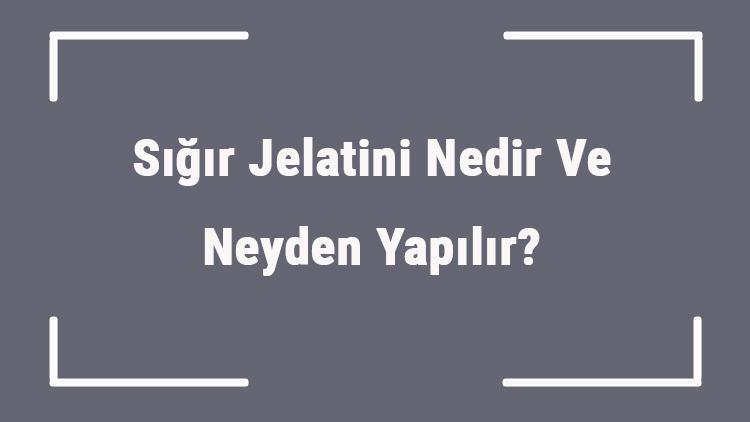 Sığır Jelatini Nedir Ve Neyden Yapılır Sığır Jelatinin Faydaları Ve Besin Değerleri..