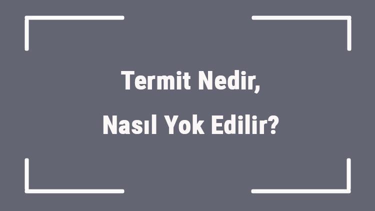 Termit Nedir, Nasıl Yok Edilir Termit İnsana Zarar Verir Mi