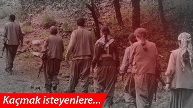 Terör örgütü PKKda panik büyüyor Şok detaylar...