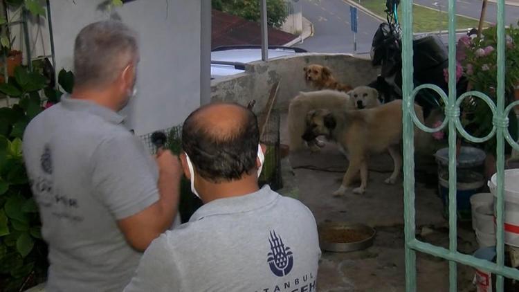 İstanbulda 10 ilçede uyuşturucu satıcılarına yönelik operasyon, çok sayıda gözaltı var