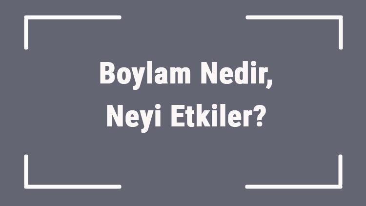 Boylam Nedir, Neyi Etkiler Coğrafyada Boylam Nasıl Hesaplanır Ve Bulunur