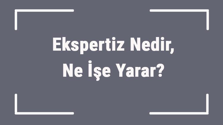 Ekspertiz Nedir, Ne İşe Yarar Ekspertiz Raporu Kaç Güne Çıkar