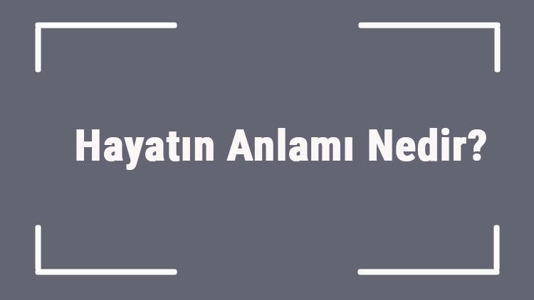 Hayatın Anlamı Nedir Hayatın Anlamını Anlatan Kitaplar..