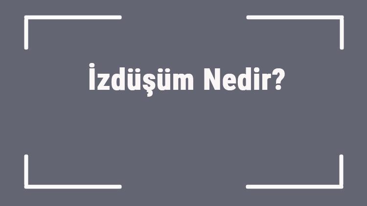 İzdüşüm Nedir Geometride İzdüşüm Alanı Nasıl Bulunur