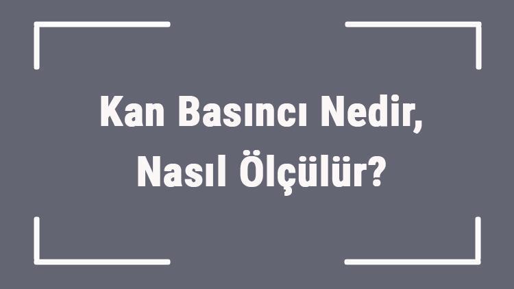 Kan Basıncı Nedir, Nasıl Ölçülür Kan Basıncının Normal Değeri Kaç Olmalı