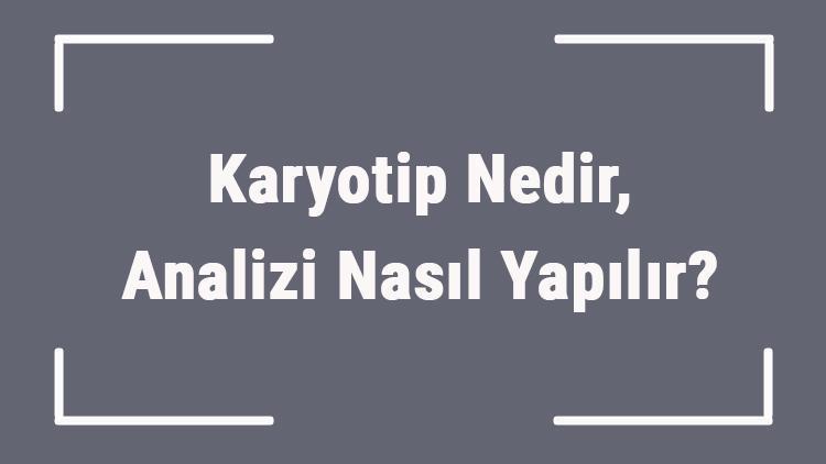 Karyotip Nedir, Analizi Nasıl Yapılır Karyotip Analizi Hangi Evrede Yapılır