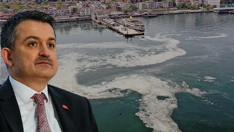 Son dakika: Bakan Pakdemirliden Marmara Denizindeki balık durumuna ilişkin önemli açıklama